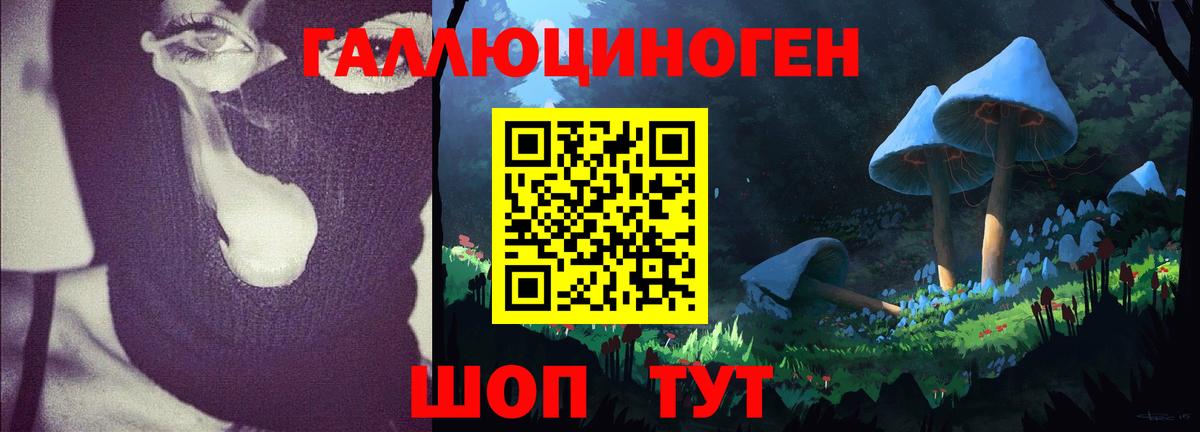 Ртищево  Галлюциногенные грибы ЛСД  Вход с VPN 
